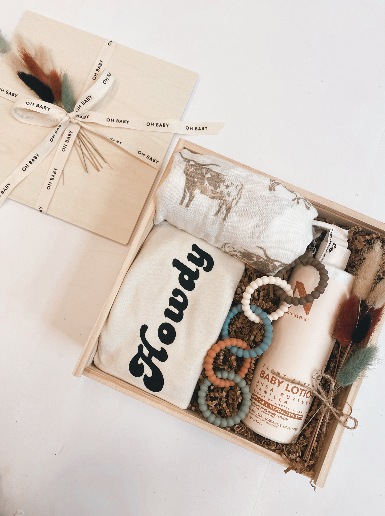 Howdy Baby: Gift for the New Parent
